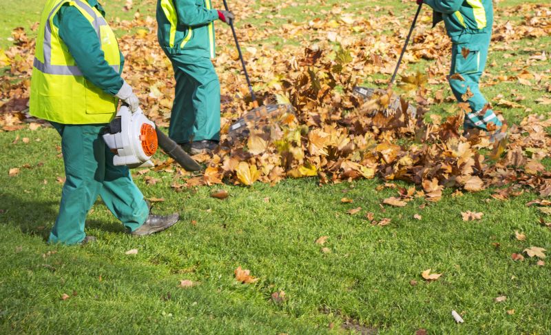 Leaf Cleanup at Property Edge