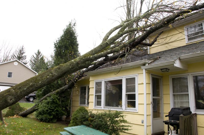 Storm Damage Prevention