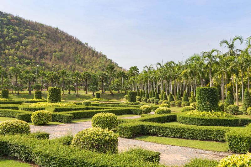 Shaped Landscape Tree